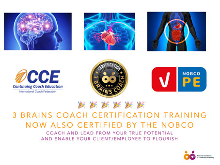 3 Brains Coach Certification training now also certified by the NOBCO