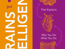 3 Brains Intelligence: The Hidden Neuroscience That Explains Why You Do What You