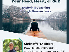 From Which Brain are YOU coaching?