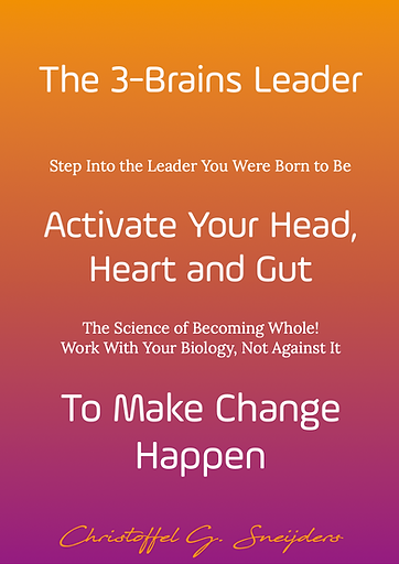 cover book the 3 brains leader activate your head heart and gut to make change happen.png