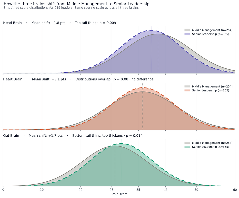 Distribution curves comparing Head, Heart, and Gut scores between middle management and senior leadership, showing reduced high Head scores and increased Gut scores at senior level.
