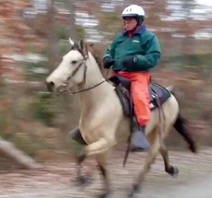 Rowdy's Sunny Delight