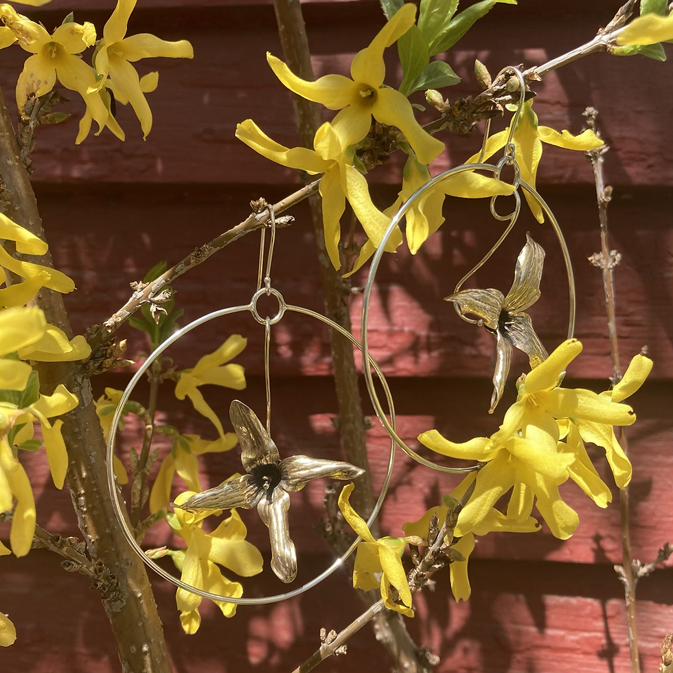 Thumbnail: Brass Forsythia Hoop Earrings 