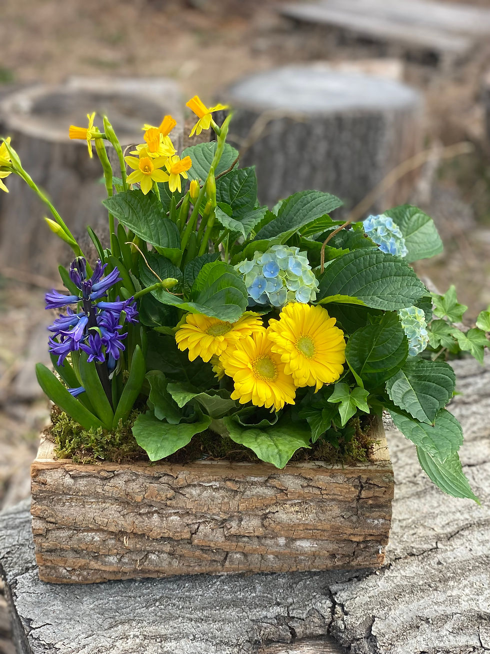 Colorful Spring Arrangement