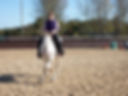 Bridleless Riding