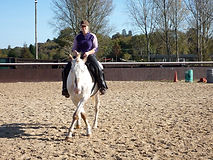Bridleless Riding