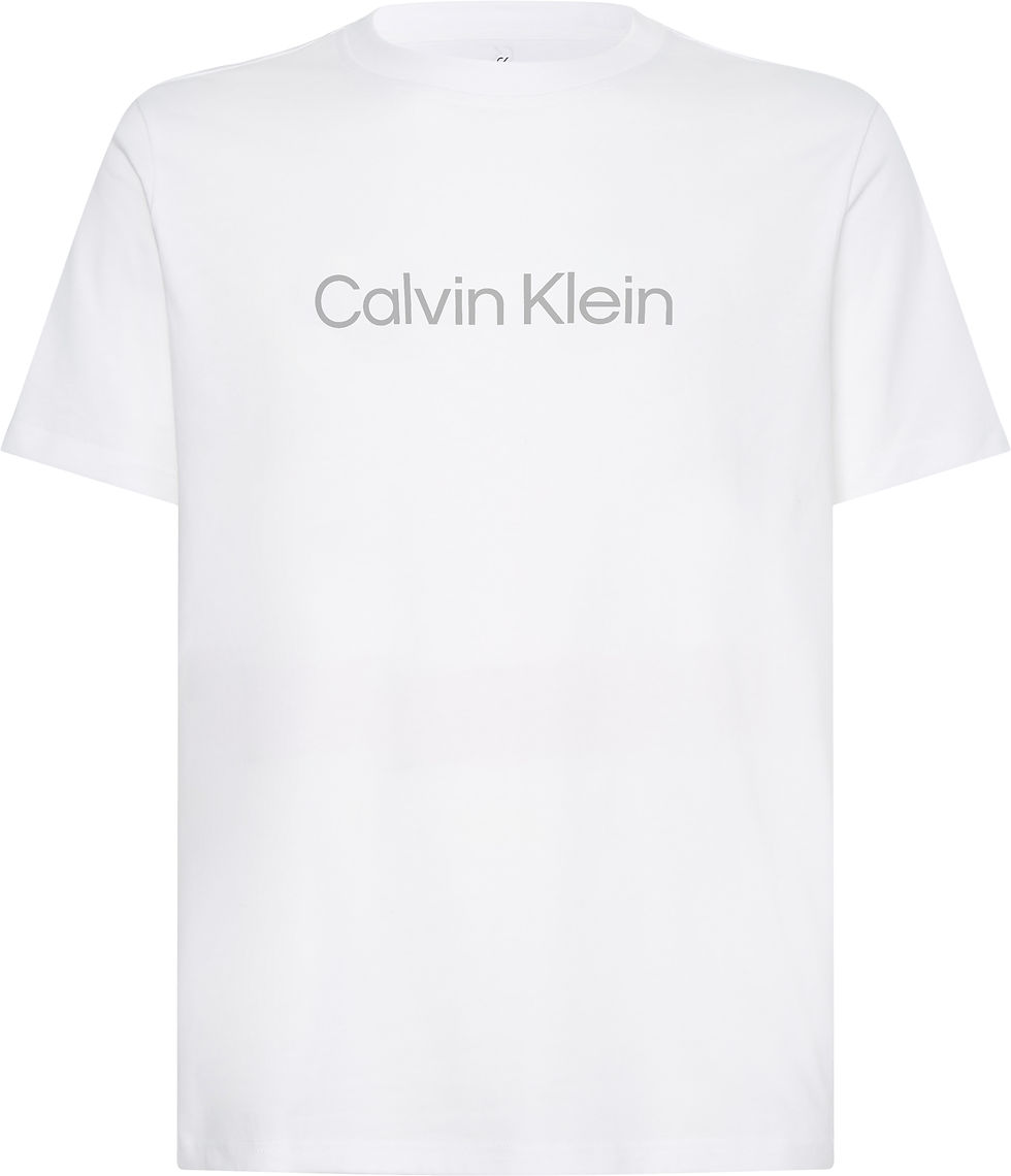 CALVIN KLEIN PW HERREN T-SHIRT IN WEISS