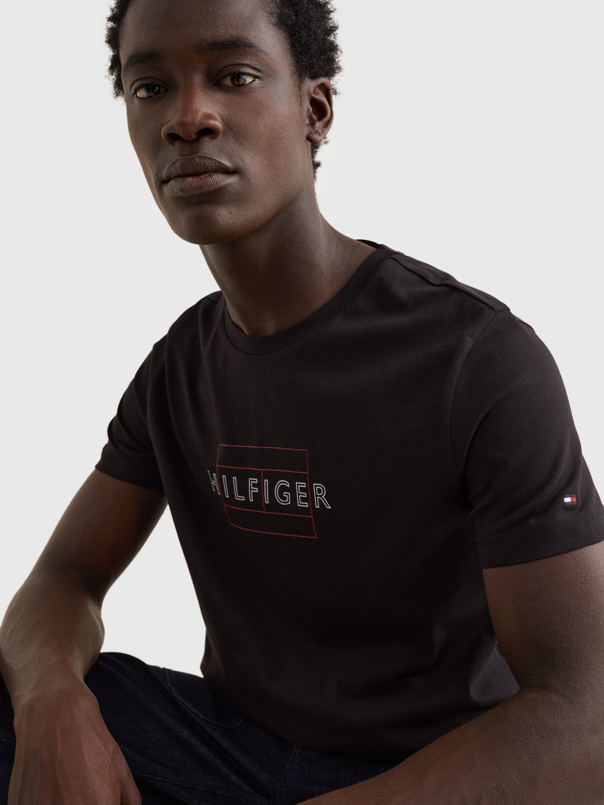 Tommy Hilfiger Herren LINEAR FLAG T-SHIRT IN BLACK