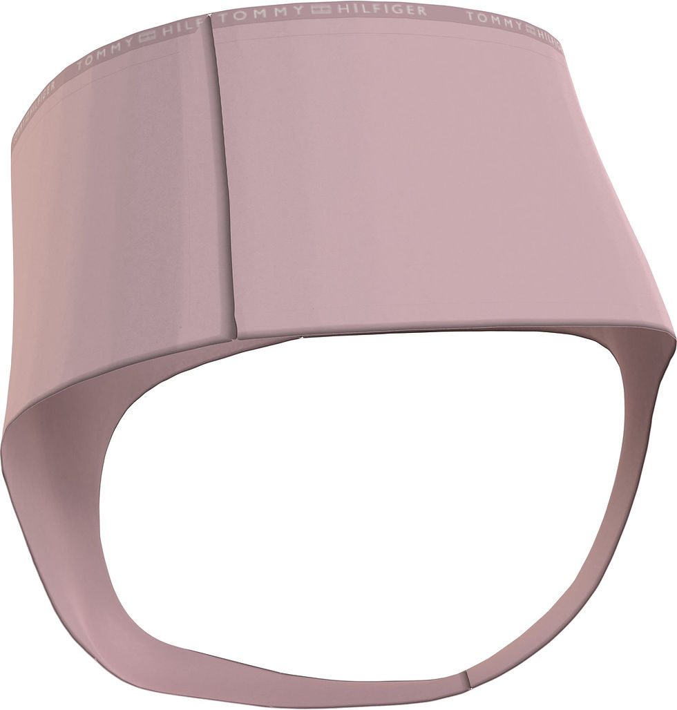 Miniaturbild: TOMMY HILFIGER   HIGH WAIST THONG
