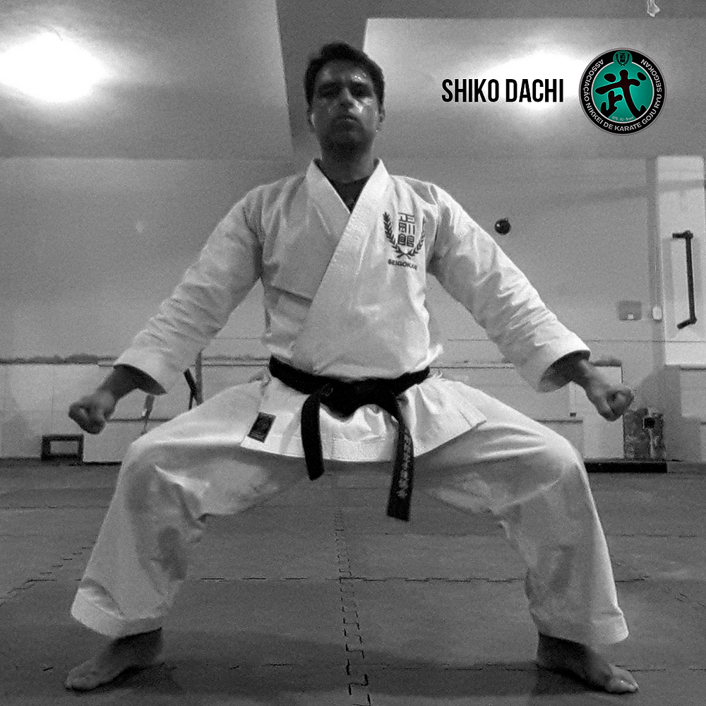 Sensei Rey Araujo executando a base Shiko Dachi