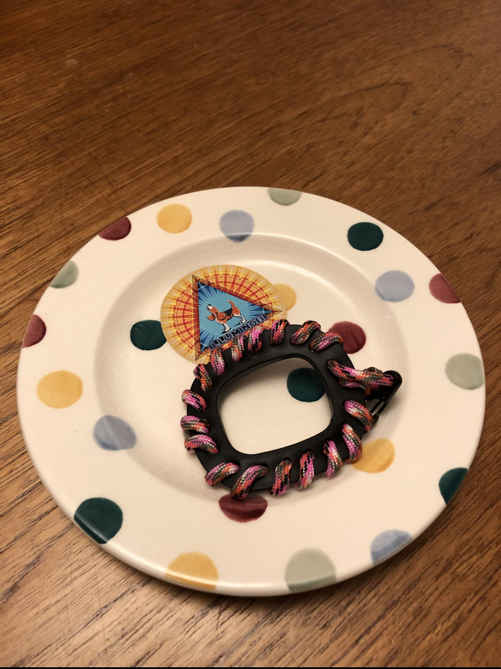 Thumbnail: Paracord Case