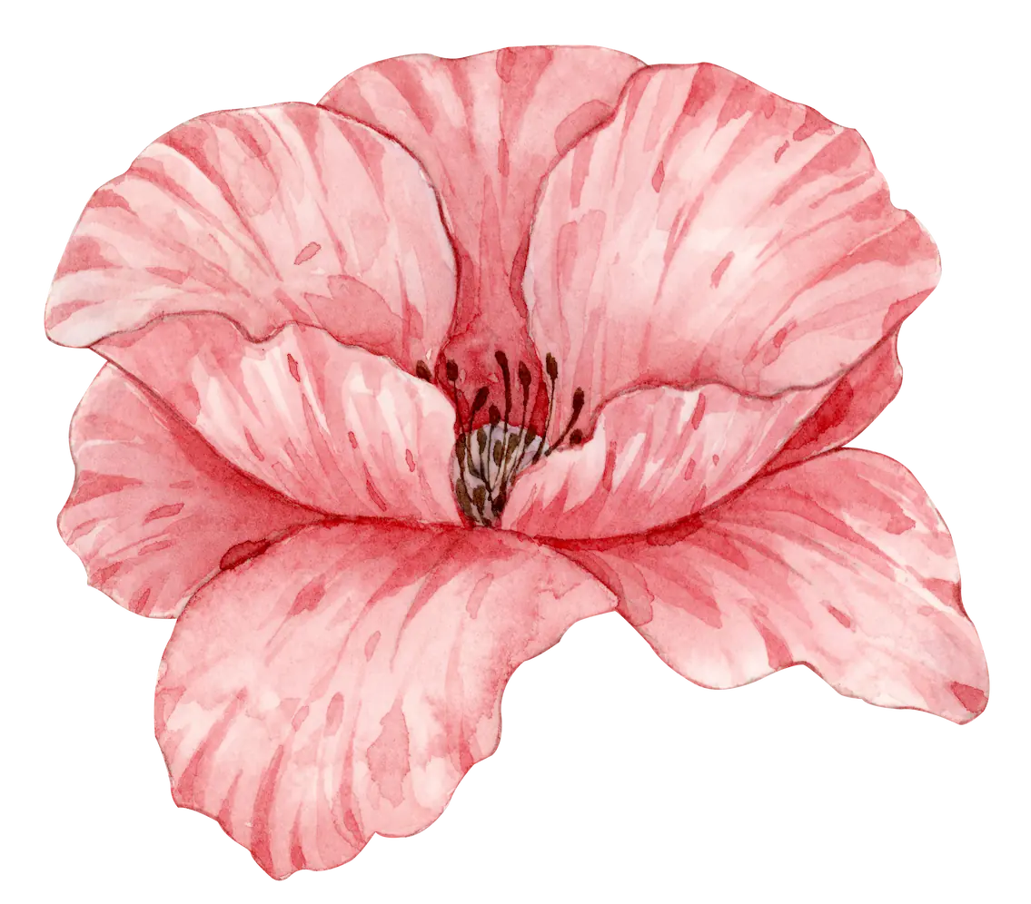 53i6.webp