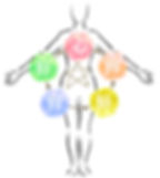 髮再生-中醫生髮-脫髮原因 心肝脾肺腎