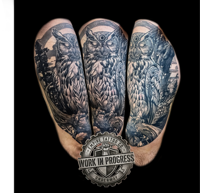 owlwip2