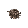 Pine Cone 4