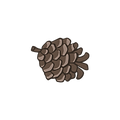 Pomme de pin 4