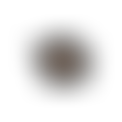 清水の舞台から飛び降りた男