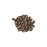 Pine Cone 4
