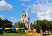 Magic-Kingdom-85.jpg