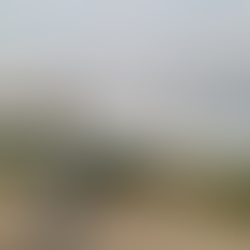  watching the sea and waves at the beach