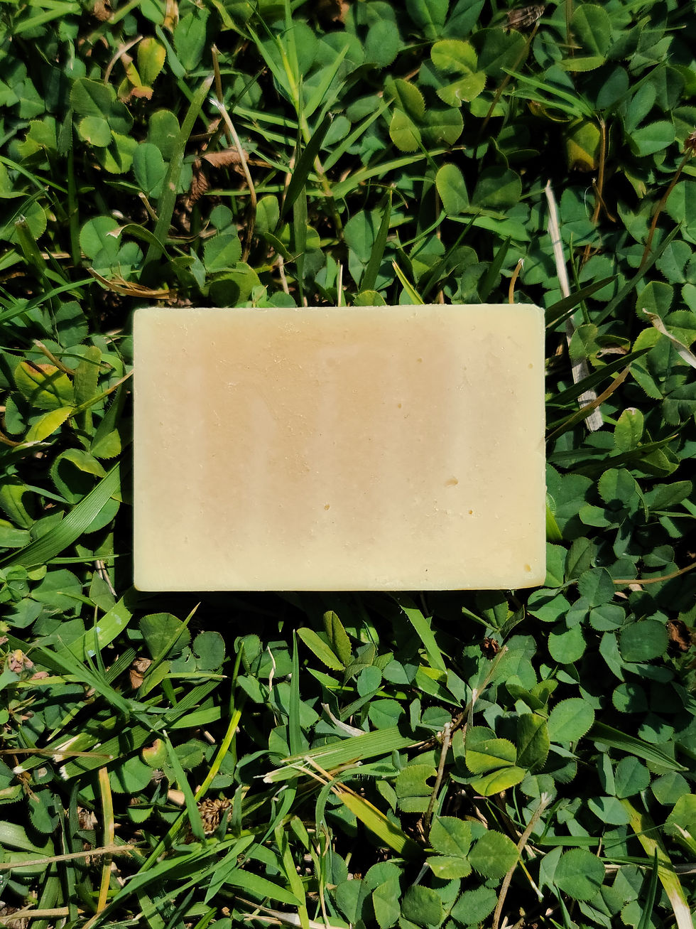 Thumbnail: Dog Shampoo Bar