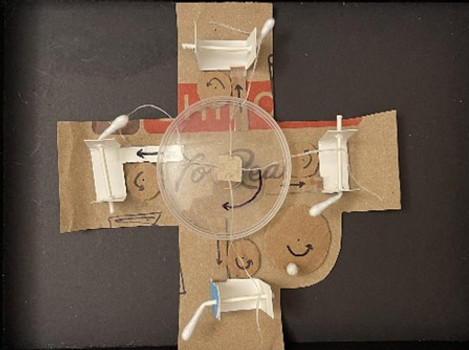 cardboard2.jpg