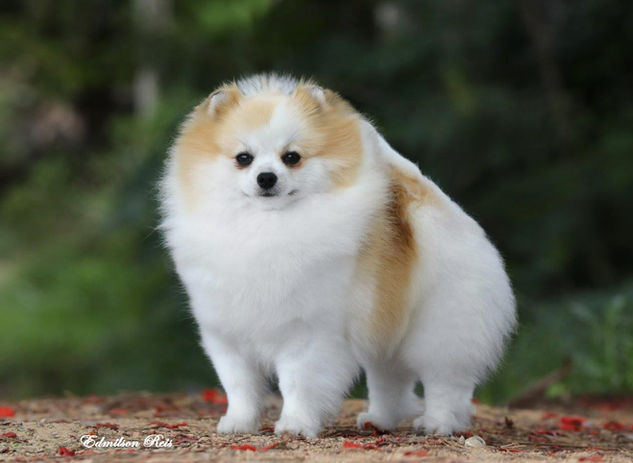 WhatsApp Image 2020-12-29 at 18.19.40 (2).jpeg