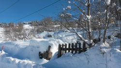 Gite le Carlit Targasonne