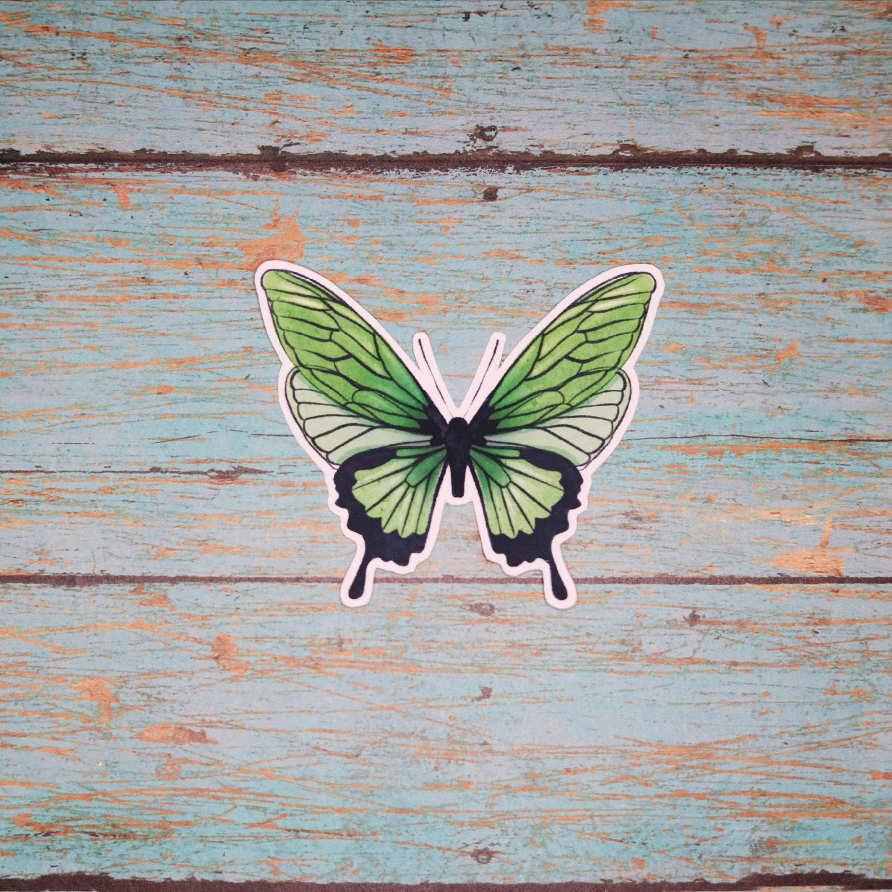 Papilio Butterfly Sticker