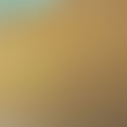 Você tem cicatriz no braço direito?