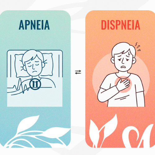 Apneia e Dispneia: Qual a Diferença?