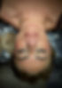 PXL_20250829_202132817.MP~2.jpg