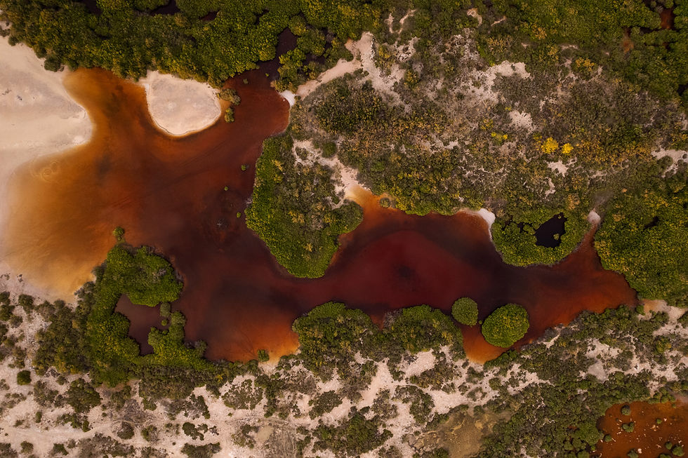BucanYé_DJI_0235.jpg