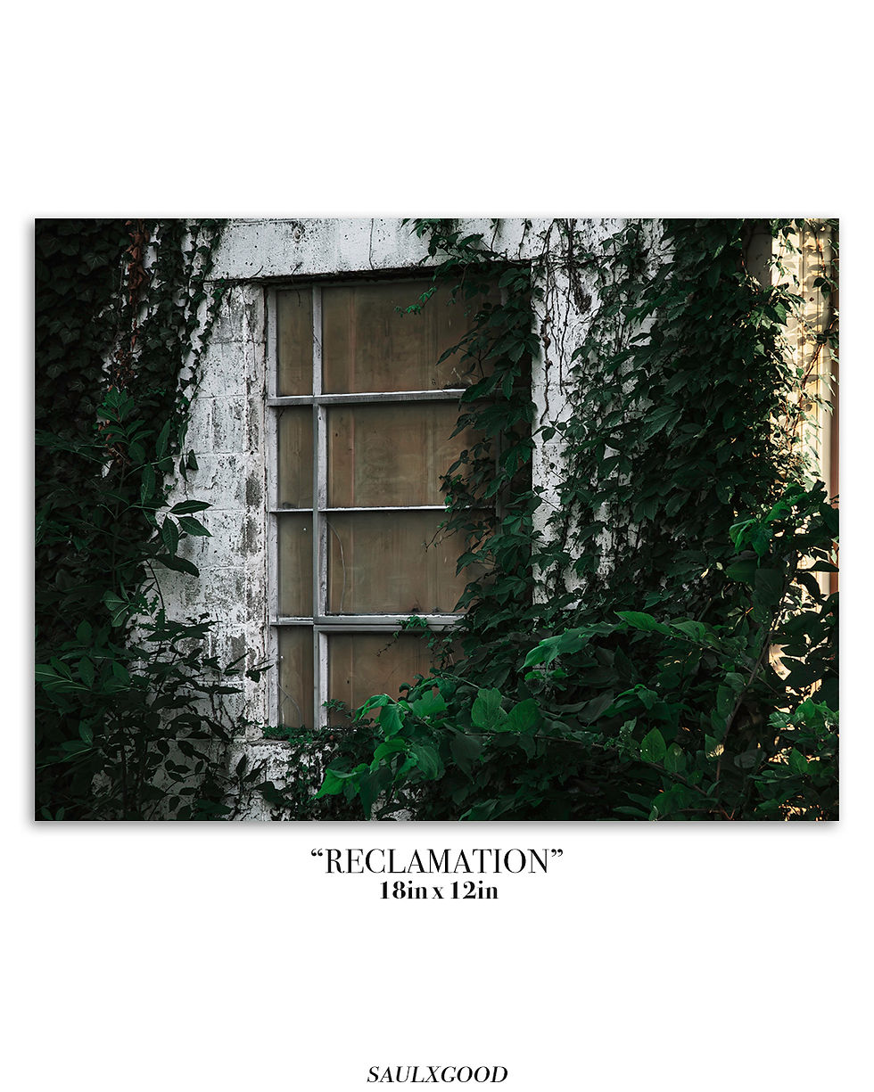 “RECLEMATION” – 18in x 12in Fine Art Print