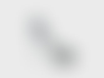 Silver Slipper Rundown