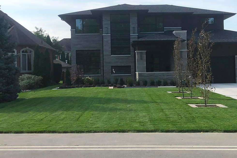 Sod & Seeding