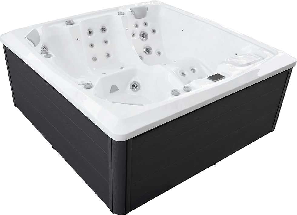 9160L-Dominion Spas