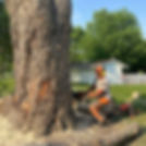 North Ridge Forestry.jpg