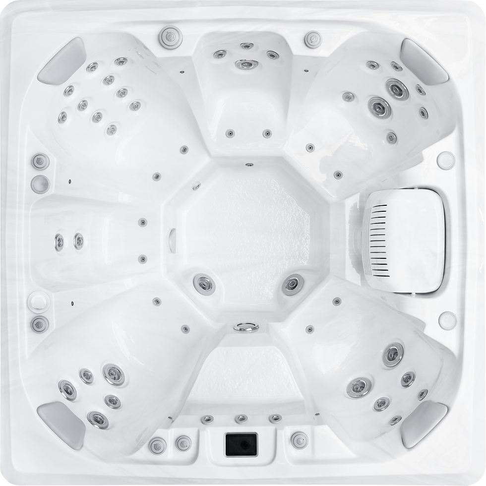 8552B-Dominion Spas