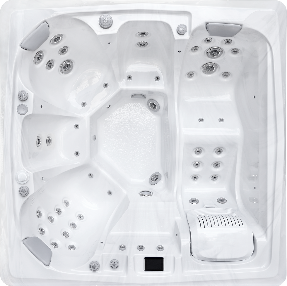 8550L-Dominion Spas