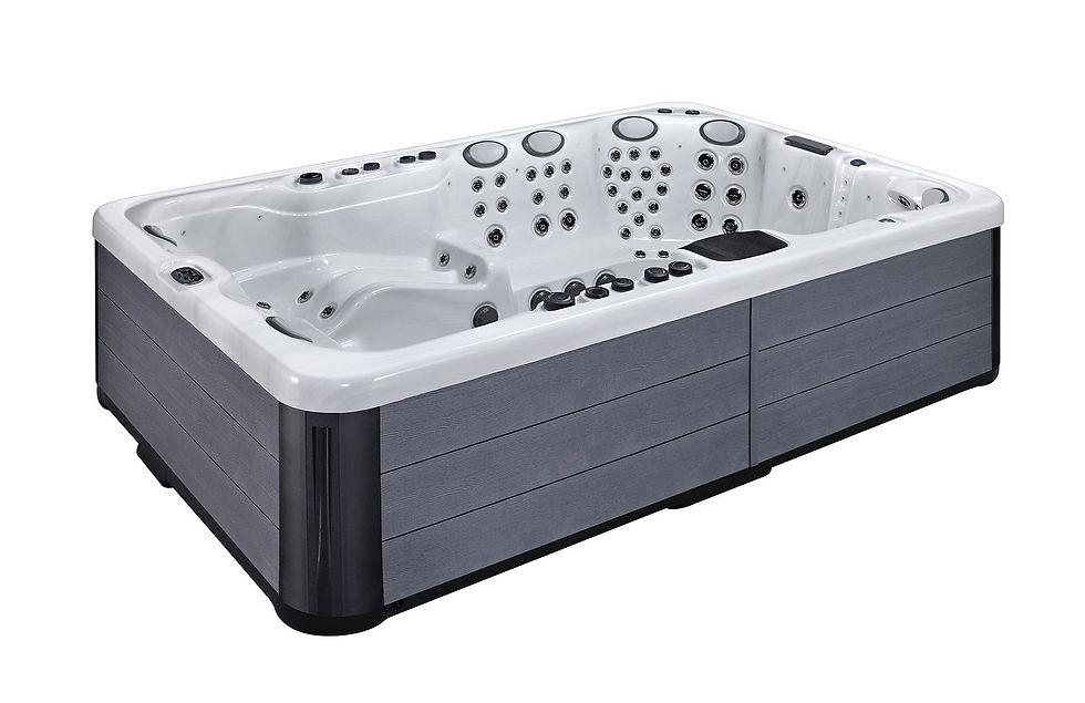 P91-Dominion Spas