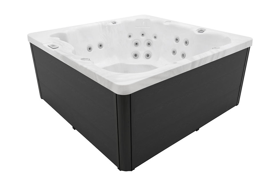 Thumbnail: Mellisani-Dominion Spas
