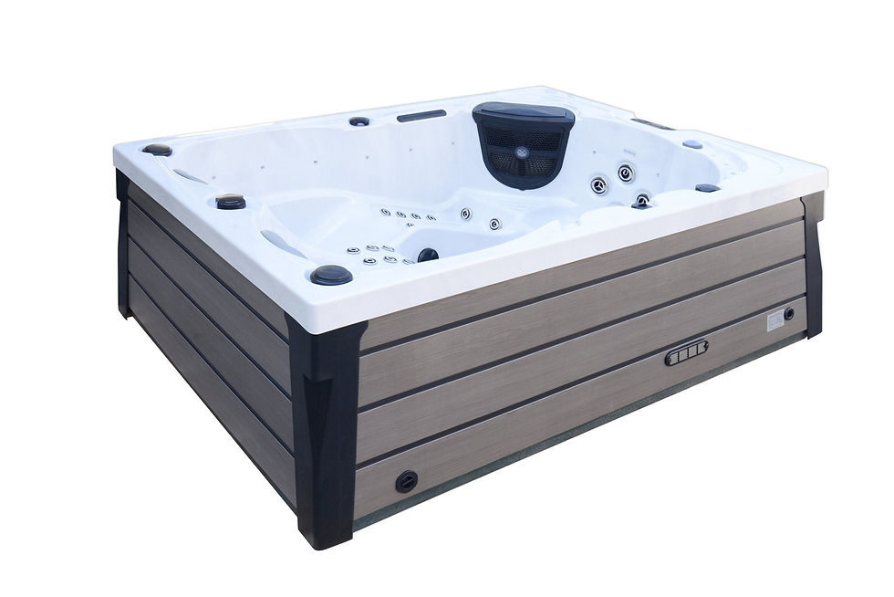 DL65-Dominion Spas