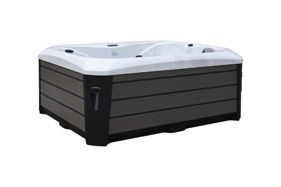 L523-Dominion Spas