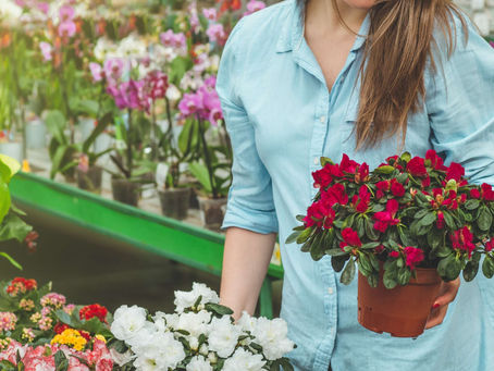 Shop Smart at Home Depot's Black Friday Spring Sale 2024