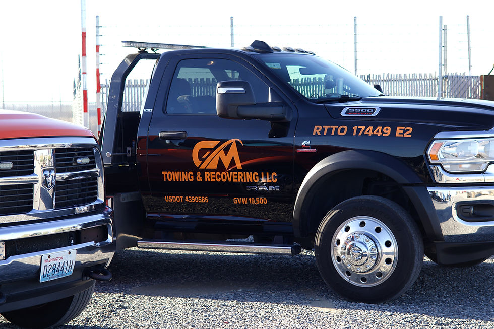 Tezza-9355.JPG