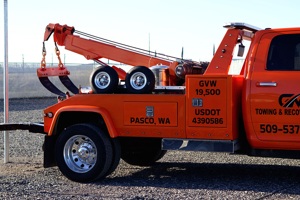 Tezza-9546.JPG
