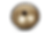 LMC_8166
