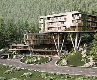 Курпаты визуализация.jpg