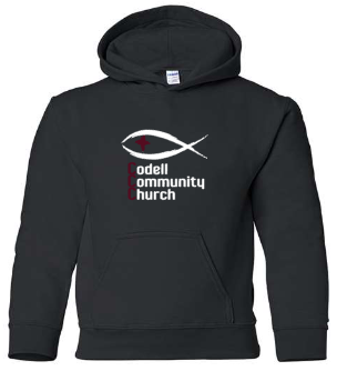 Youth Hoodie - Black/Maroon/Sport Grey/ or White
